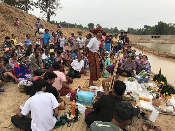 ต้นตะเคียนทองยักษ์ ต้นตะเคียนทองยักษ์