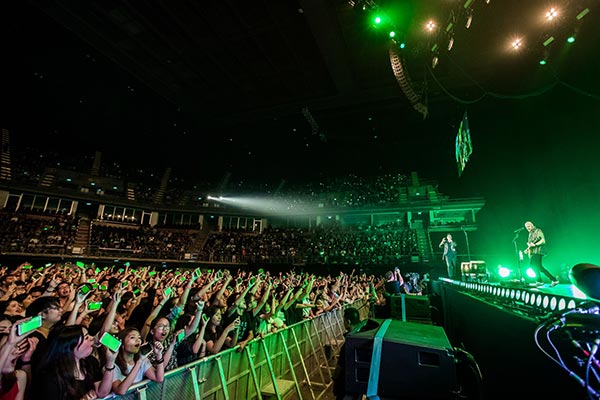 the script the script