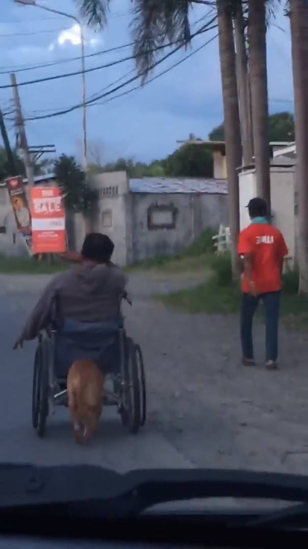 ช่วยเจ้าของ ช่วยเจ้าของ