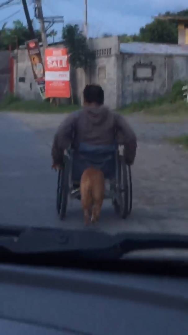 ช่วยเจ้าของ ช่วยเจ้าของ