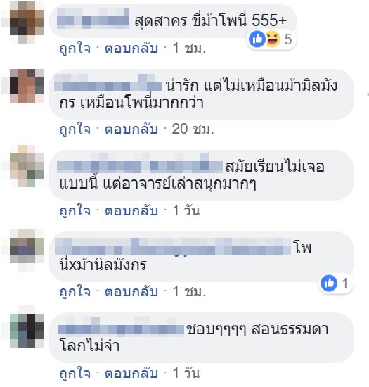 ม้านิลมังกร ม้านิลมังกร
