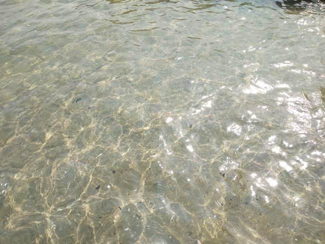 หาดบางแสน หาดบางแสน