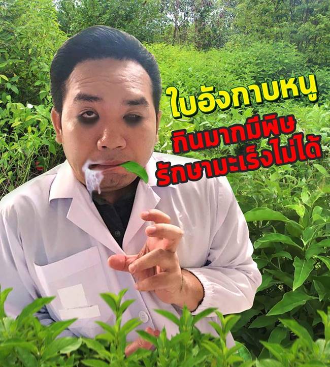 หมอแล็บแพนด้า หมอแล็บแพนด้า