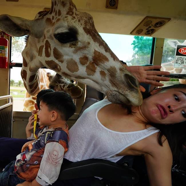 น้องแพนเตอร์ น้องพูม่า น้องแพนเตอร์ น้องพูม่า