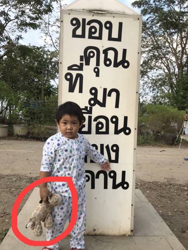 .แม่วอนช่วยตามหาตุ๊กตายีราฟ .แม่วอนช่วยตามหาตุ๊กตายีราฟ