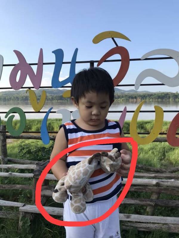 .แม่วอนช่วยตามหาตุ๊กตายีราฟ .แม่วอนช่วยตามหาตุ๊กตายีราฟ