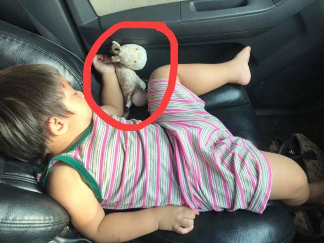 .แม่วอนช่วยตามหาตุ๊กตายีราฟ .แม่วอนช่วยตามหาตุ๊กตายีราฟ