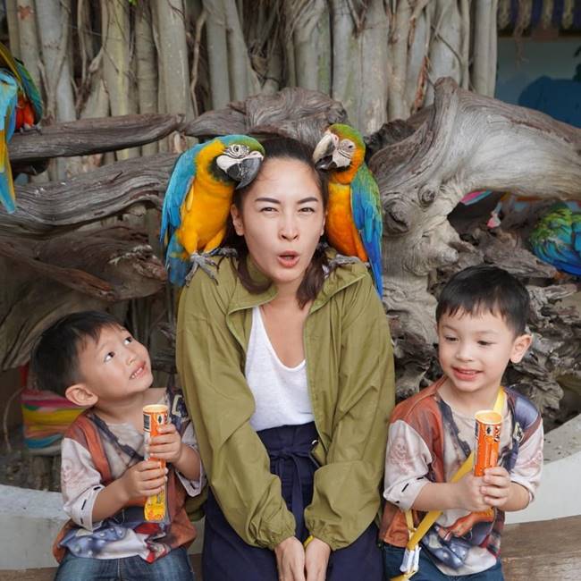 น้องแพนเตอร์ น้องพูม่า น้องแพนเตอร์ น้องพูม่า