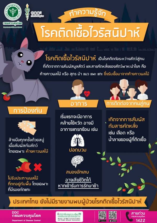 ไวรัสนิปาห์ ไวรัสนิปาห์