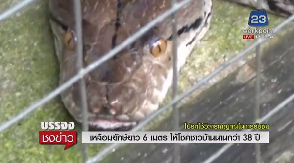 คอหวยแห่ขอโชค คอหวยแห่ขอโชค