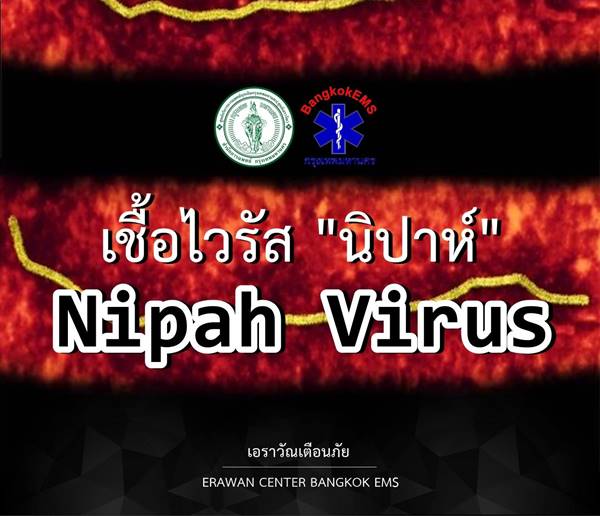 ไวรัสนิปาห์ ไวรัสนิปาห์