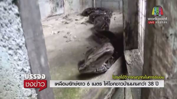 คอหวยแห่ขอโชค คอหวยแห่ขอโชค