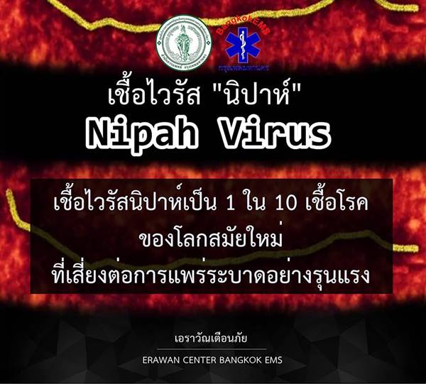 ไวรัสนิปาห์ ไวรัสนิปาห์