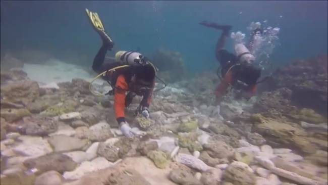 อ่าวมาหยา อ่าวมาหยา