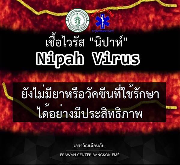 ไวรัสนิปาห์ ไวรัสนิปาห์