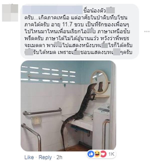 พชร์ อานนท์ พชร์ อานนท์