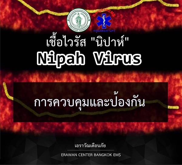 ไวรัสนิปาห์ ไวรัสนิปาห์