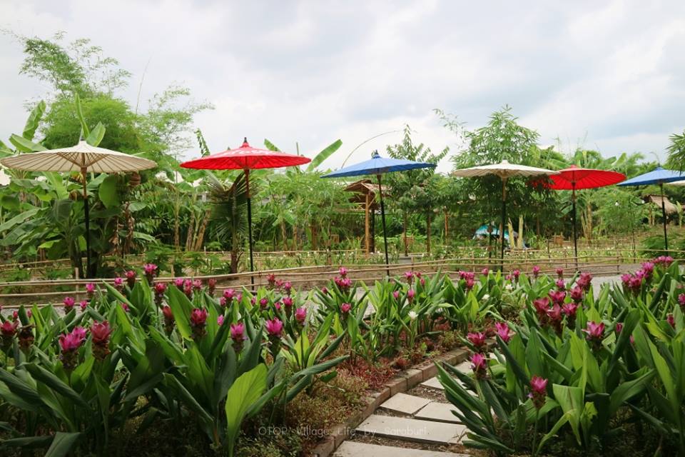 เที่ยวสระบุรี เที่ยวสระบุรี