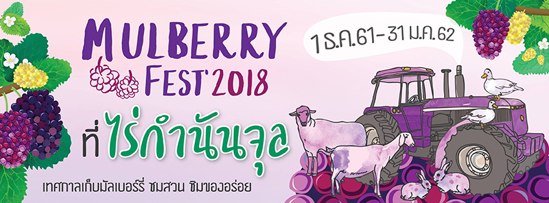 เทศกาลท่องเที่ยวหน้าหนาว 2561 เทศกาลท่องเที่ยวหน้าหนาว 2561