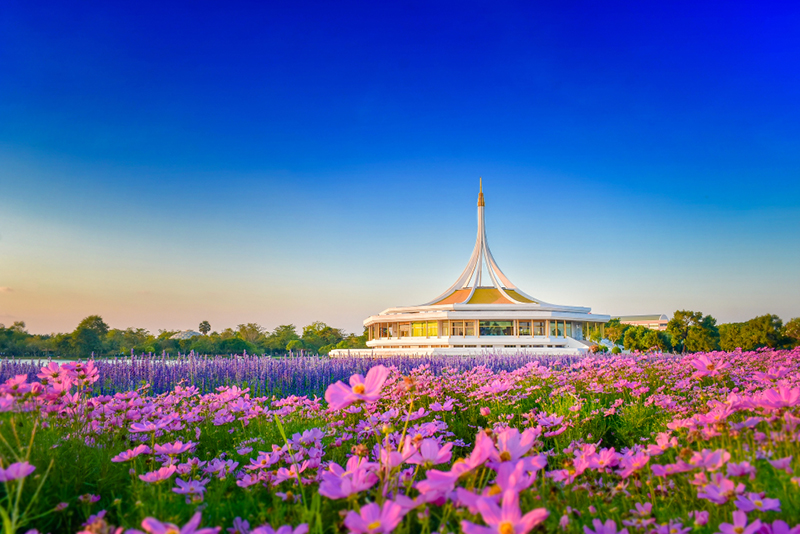 เทศกาลท่องเที่ยวหน้าหนาว 2561 เทศกาลท่องเที่ยวหน้าหนาว 2561