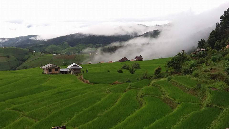 ที่พักป่าบงเบียง ที่พักป่าบงเบียง