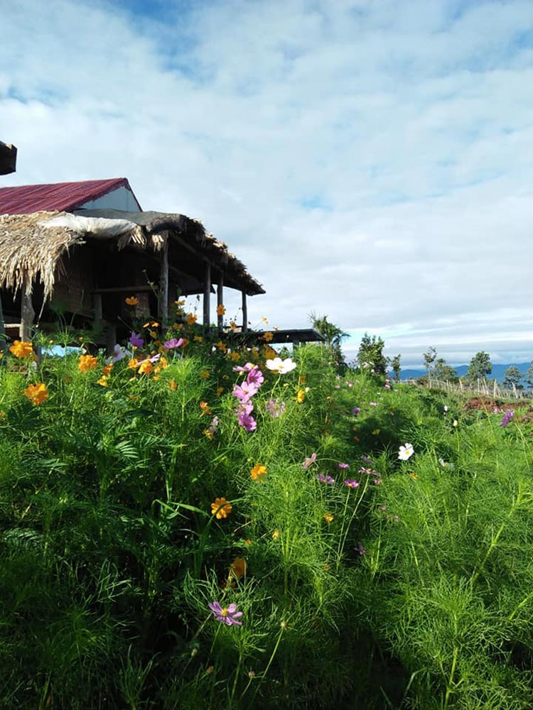 ที่พักป่าบงเปียง ที่พักป่าบงเปียง