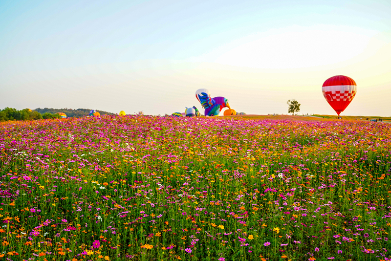 เทศกาลท่องเที่ยวหน้าหนาว 2561 เทศกาลท่องเที่ยวหน้าหนาว 2561