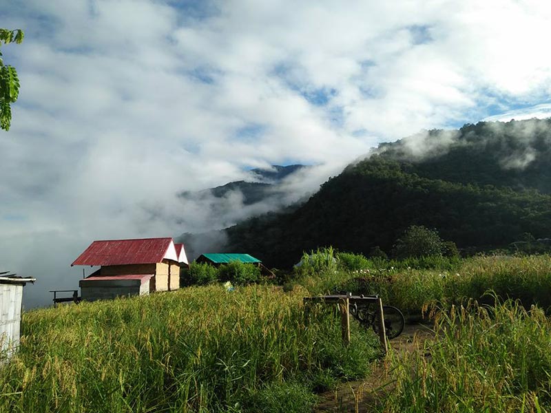 ที่พักป่าบงเปียง ที่พักป่าบงเปียง