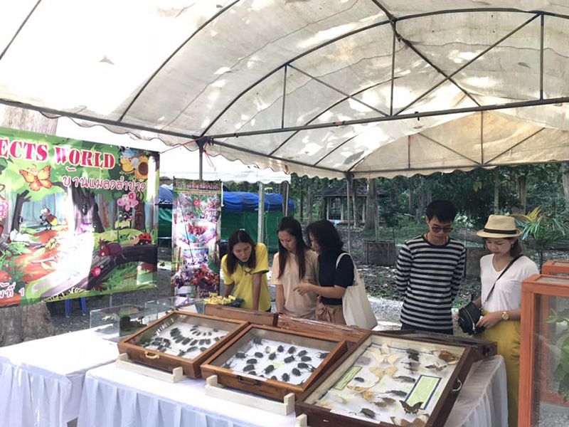 เที่ยวงาว ลำปาง เที่ยวงาว ลำปาง