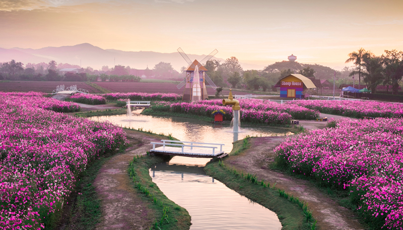 เทศกาลท่องเที่ยวหน้าหนาว 2561 เทศกาลท่องเที่ยวหน้าหนาว 2561