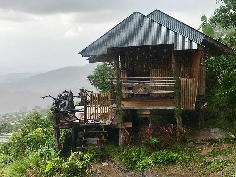 ที่พักป่าบงเปียง ที่พักป่าบงเปียง