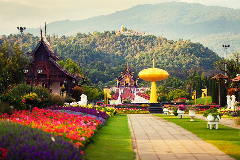 เทศกาลท่องเที่ยวหน้าหนาว 2561 เทศกาลท่องเที่ยวหน้าหนาว 2561