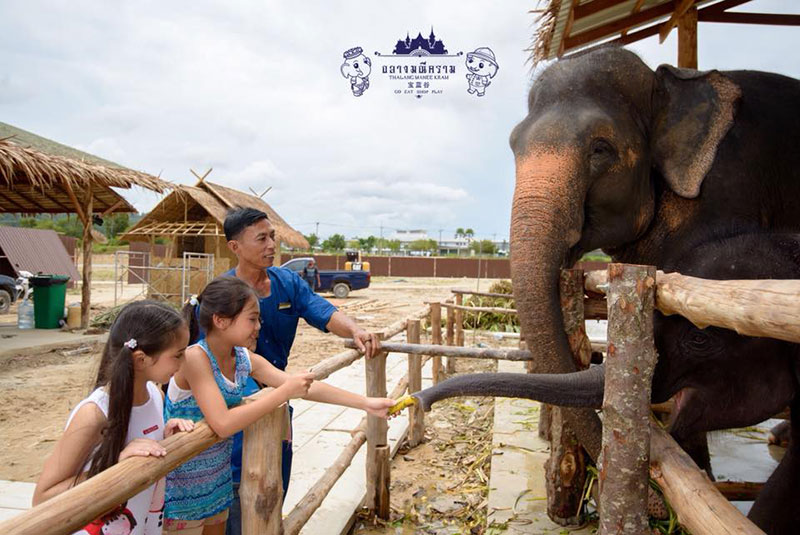 ถลางมณีคราม ภูเก็ต ถลางมณีคราม ภูเก็ต