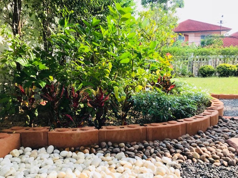 จัดสวนหินข้างบ้าน จัดสวนหินข้างบ้าน