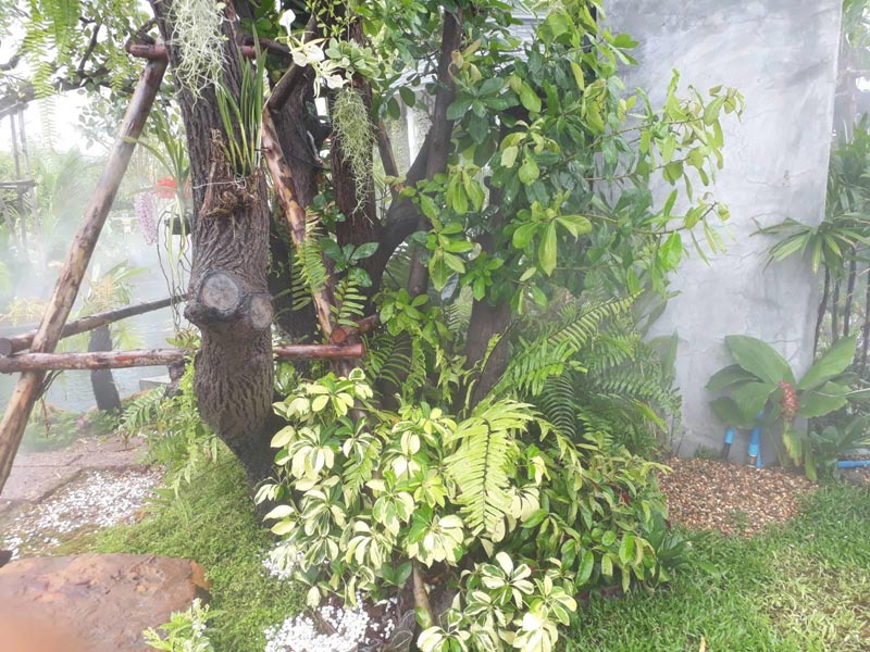 สวนน้ำตก สวนน้ำตก