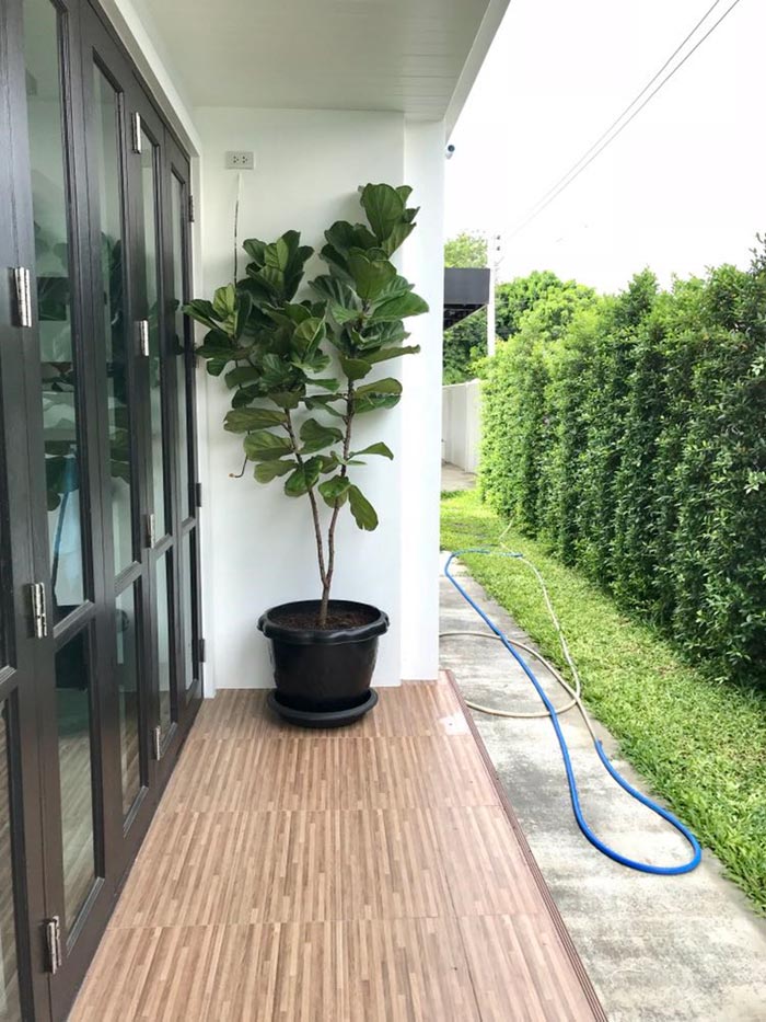 แบบบ้าน 2 ชั้น 3 ห้องนอน แบบบ้าน 2 ชั้น 3 ห้องนอน