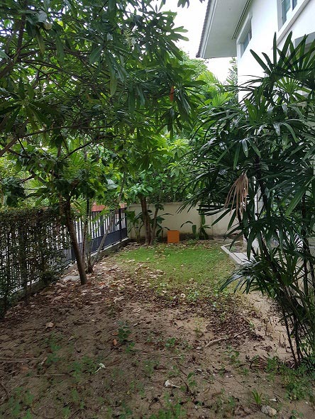 จัดสวนแบบประหยัด จัดสวนแบบประหยัด