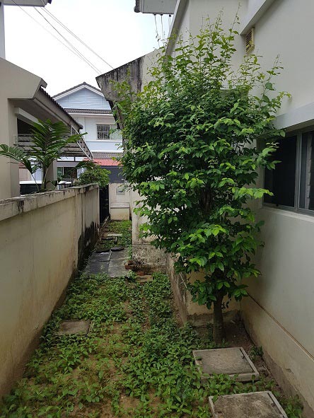 จัดสวนแบบประหยัด จัดสวนแบบประหยัด