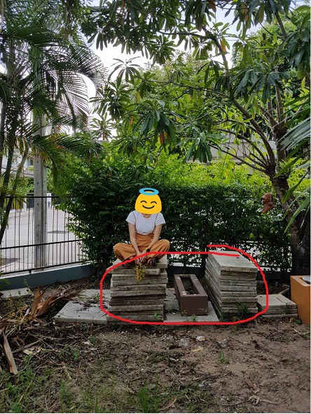 จัดสวนแบบประหยัด จัดสวนแบบประหยัด