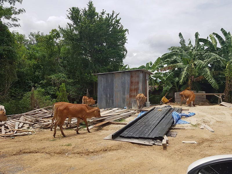 แบบบ้านชั้นเดียวโมเดิร์น แบบบ้านชั้นเดียวโมเดิร์น