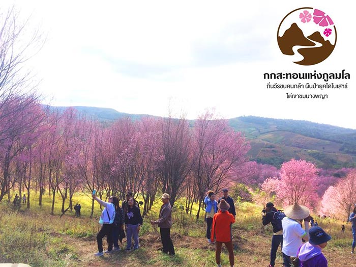 ภูลมโล 2561 ภูลมโล 2561