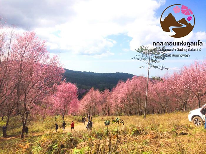 ภูลมโล 2561 ภูลมโล 2561