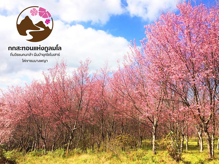 ภูลมโล 2561 ภูลมโล 2561