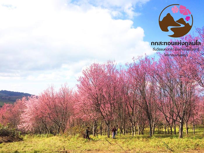 ภูลมโล 2561 ภูลมโล 2561