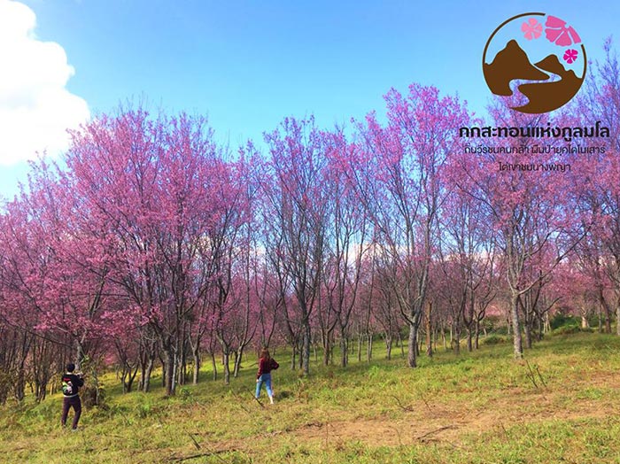 ภูลมโล 2561 ภูลมโล 2561