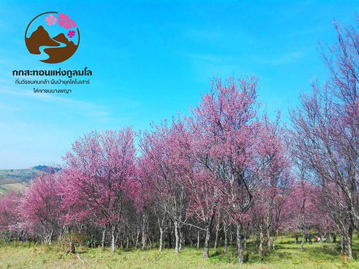 ภูลมโล 2561 ภูลมโล 2561