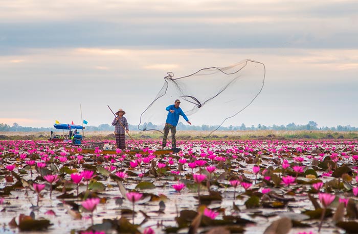 ที่เที่ยวอุดรธานี ทะเลบัวแดง