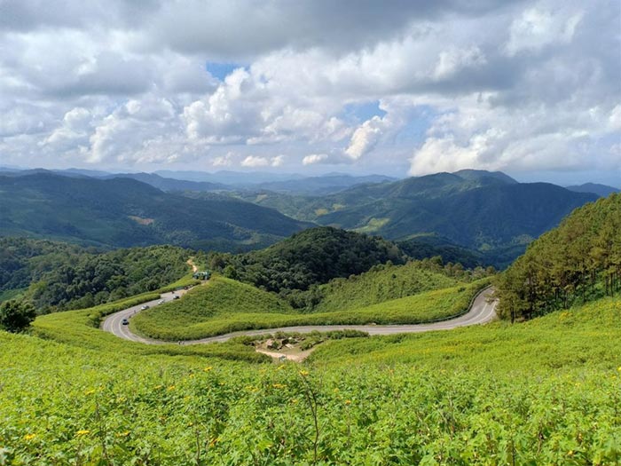 ทุ่งดอกบัวตอง แม่ฮ่องสอน ทุ่งดอกบัวตอง แม่ฮ่องสอน