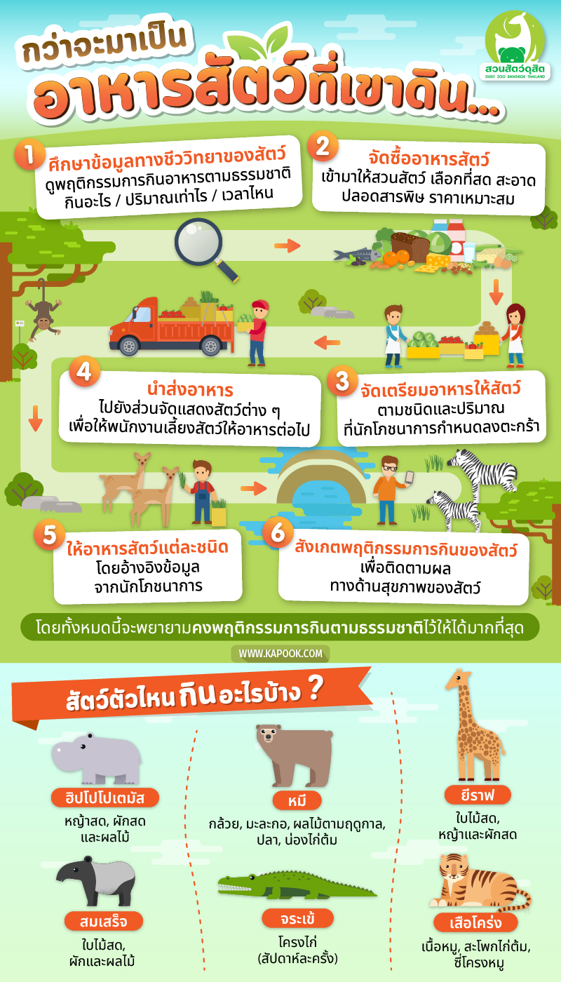เส้นทางอาหารสัตว์ เส้นทางอาหารสัตว์