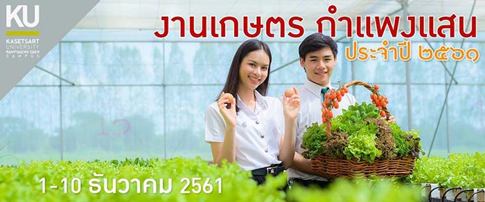 เทศกาล เดือน ธันวาคม 2561 เทศกาล เดือน ธันวาคม 2561